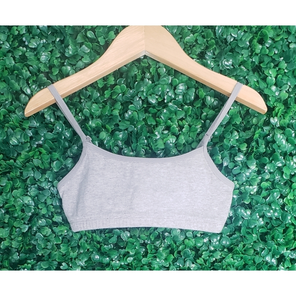 79. 2/$15 Gap Girls bralettes